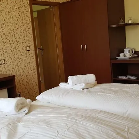 Hotel-villa Lalee 3* Дрезден