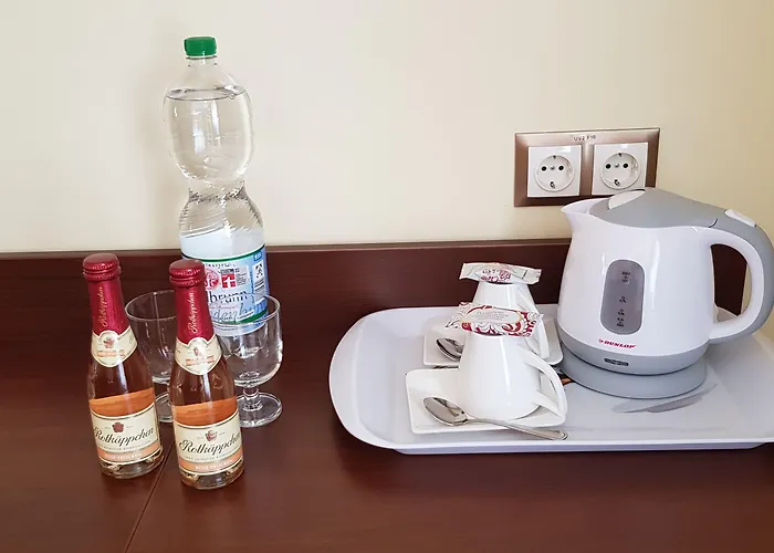 Hotel Hotel-villa Lalee