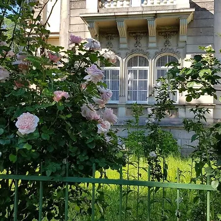 Hotel-villa Lalee Szálloda